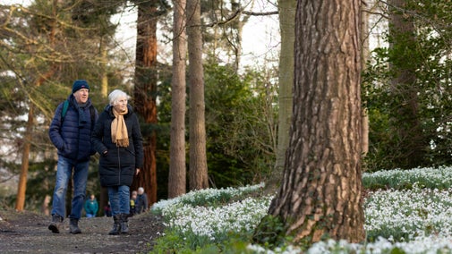 Visitors enjoying a winter walk to see the snowdrops in the grounds of Chirk Castle, Wrexham